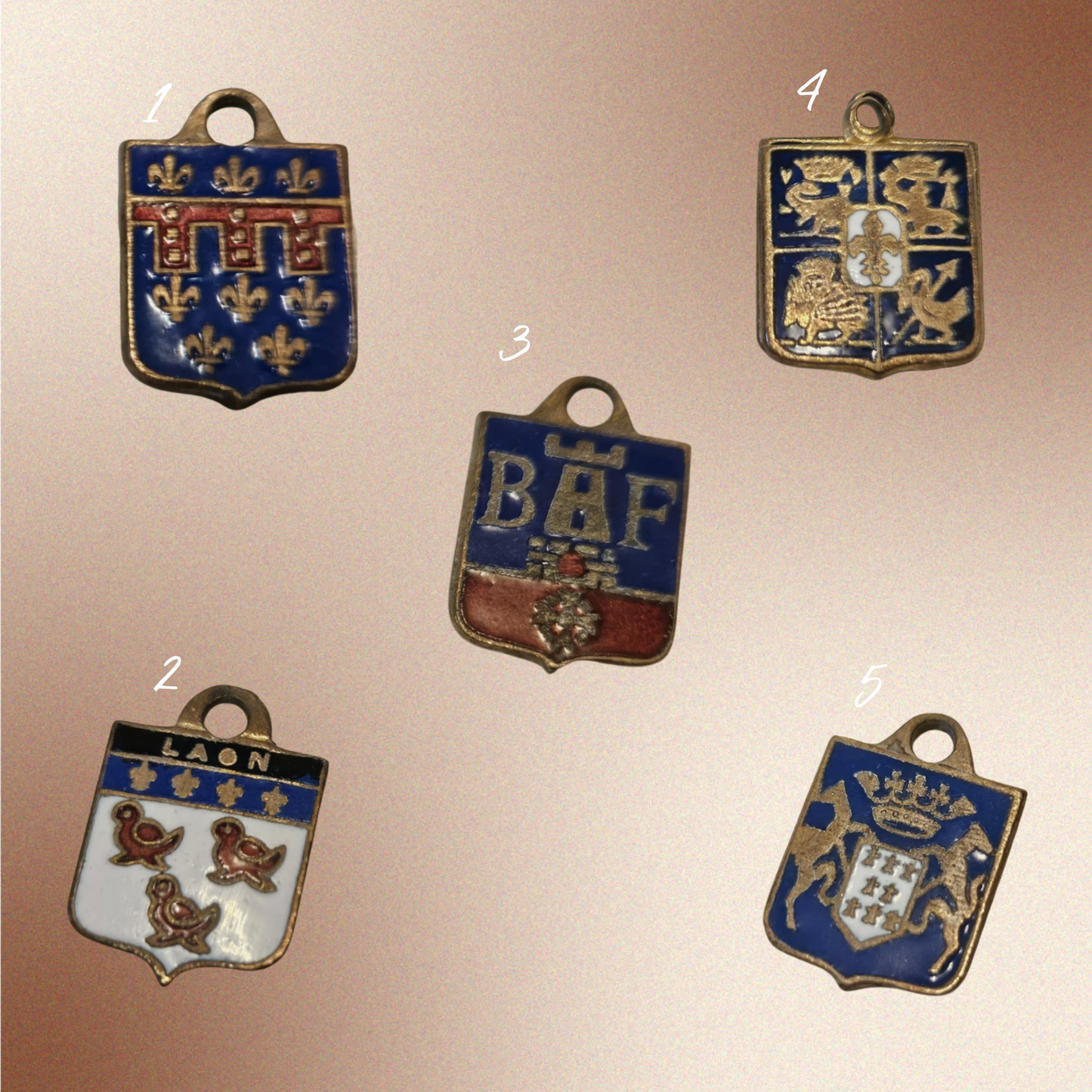 Vintage French Heraldic Charms