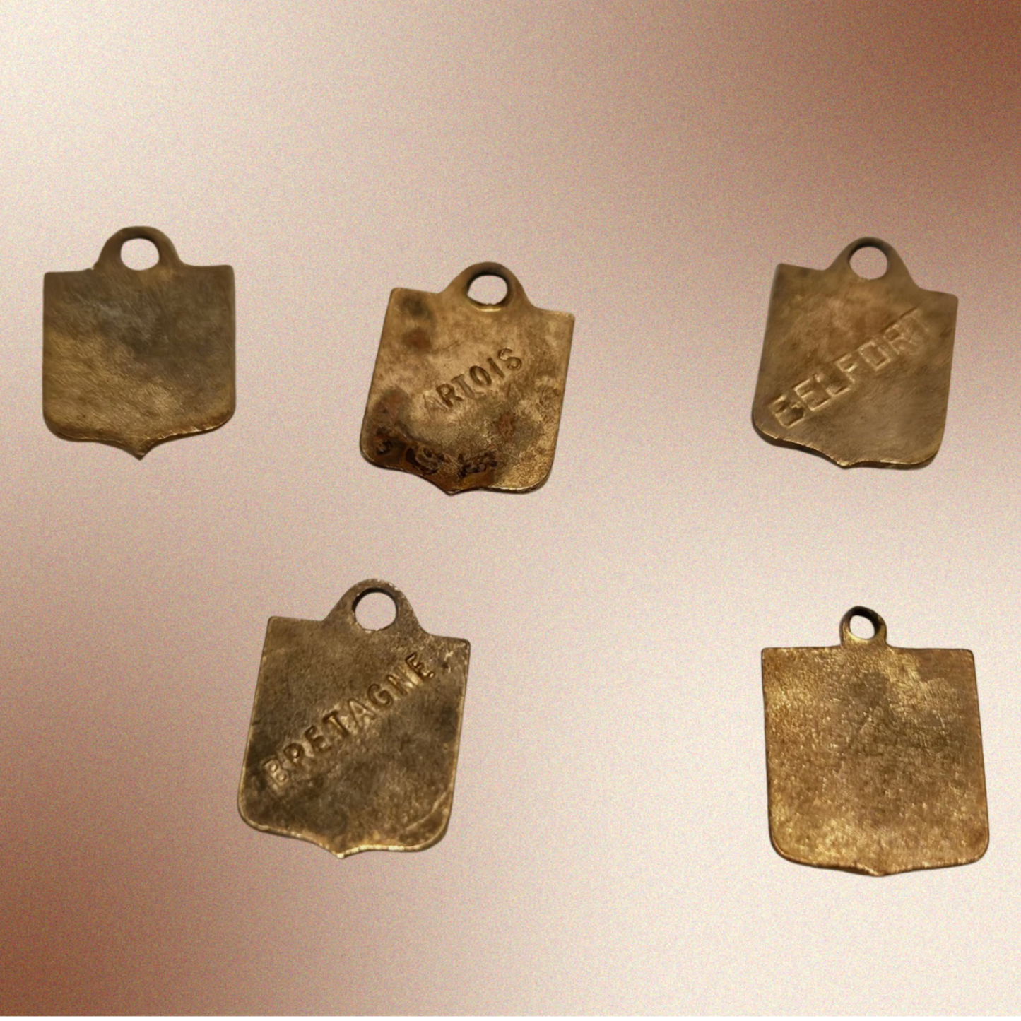 Vintage French Heraldic Charms